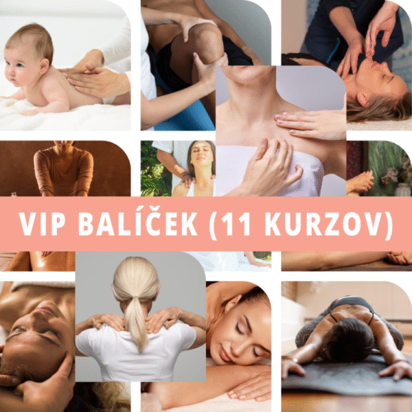 Zvýhodnený balíček VIP – kompletné prístupy do 11 kurzov